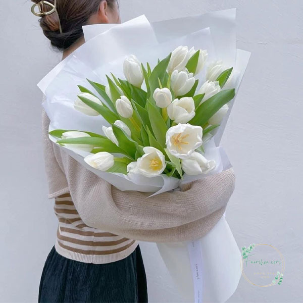 Hoa Tulip - TL85