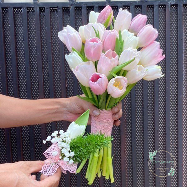 Hoa Tulip - TL34