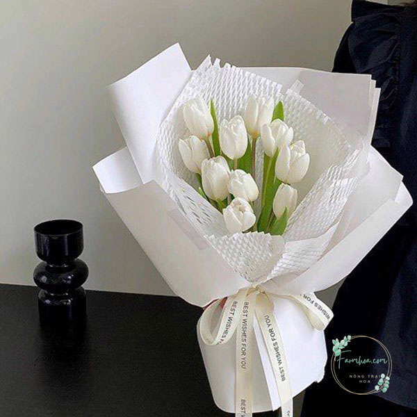 Hoa Tulip - TL55
