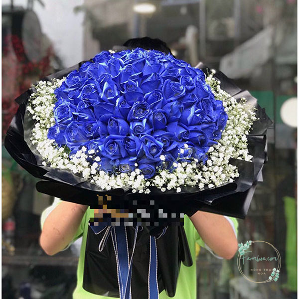Hoa màu xanh dương - HXD19