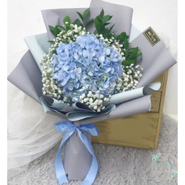 Tú cầu FH05
