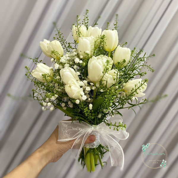 Hoa Tulip - TL28
