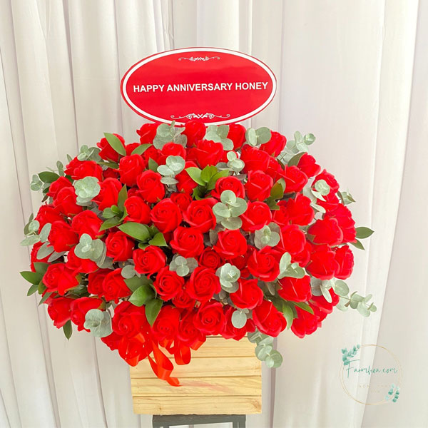 Hoa hồng đỏ - HHD65