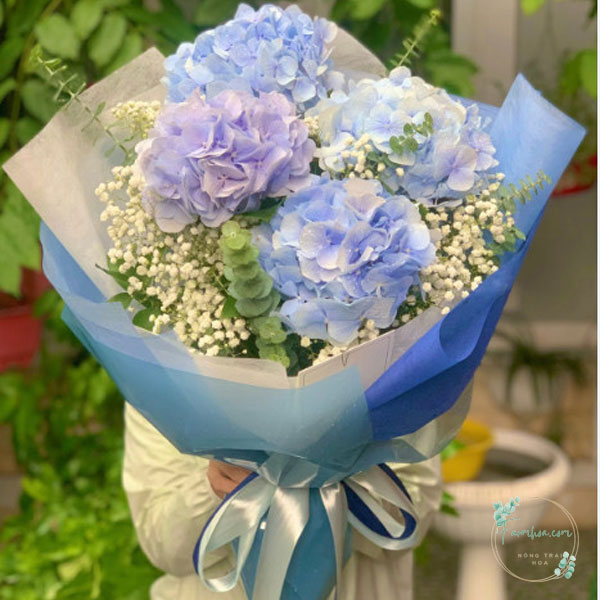 Tú cầu FH02