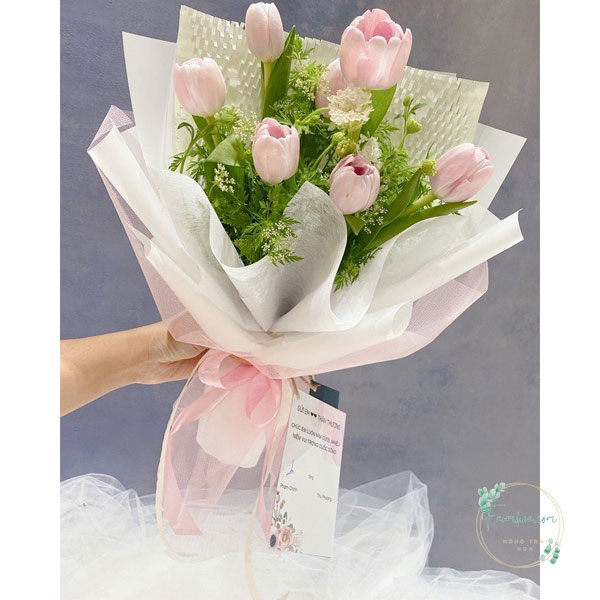 Hoa Tulip - TL57