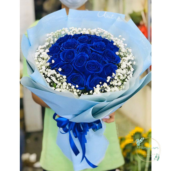 Hoa màu xanh dương - HXD22