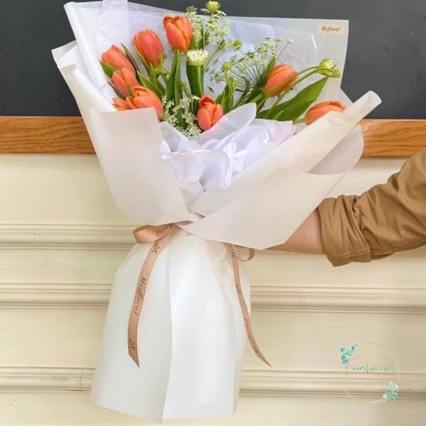 Hoa Tulip - TL38