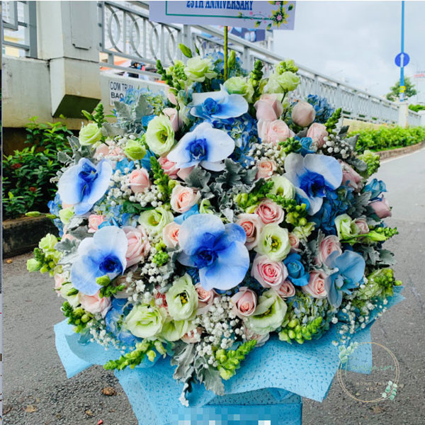 Hoa màu xanh dương - HXD06