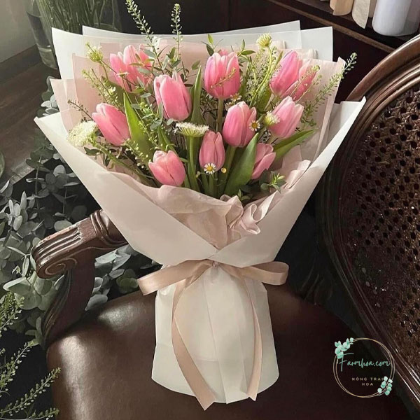 Hoa Tulip - TL41