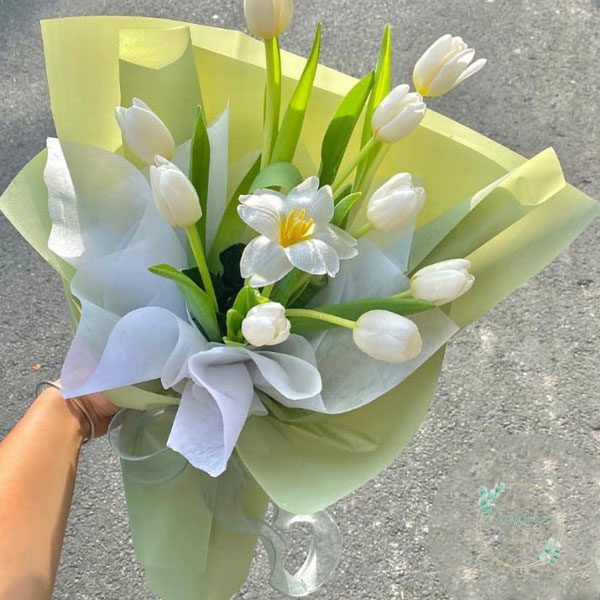Hoa Tulip - TL43