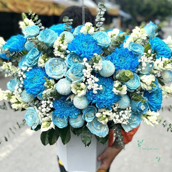 Hoa màu xanh dương - HXD38