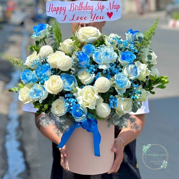 Hoa màu xanh dương - HXD40