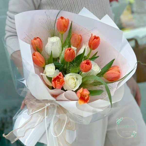 Hoa Tulip - TL62