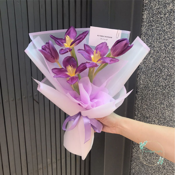 Hoa Tulip - TL55