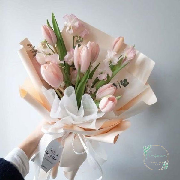 Hoa Tulip - TL48
