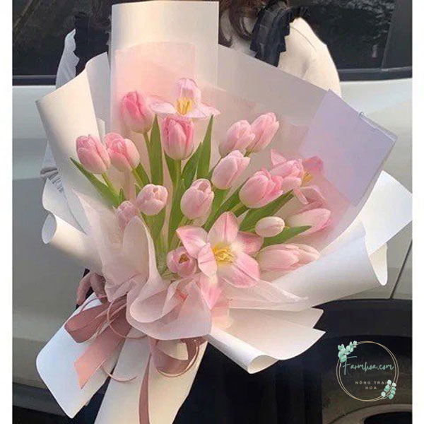 Hoa Tulip - TL71