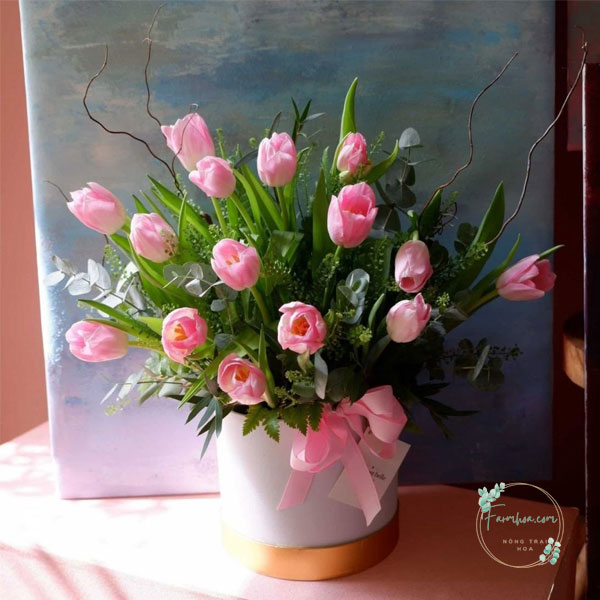 Hoa Tulip - TL95