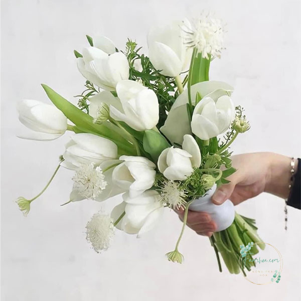 Hoa Tulip - TL44