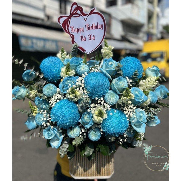 Hoa màu xanh dương - HXD49