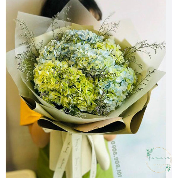 Tú cầu FH12