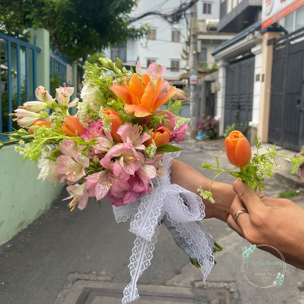 Hoa Tulip - TL03