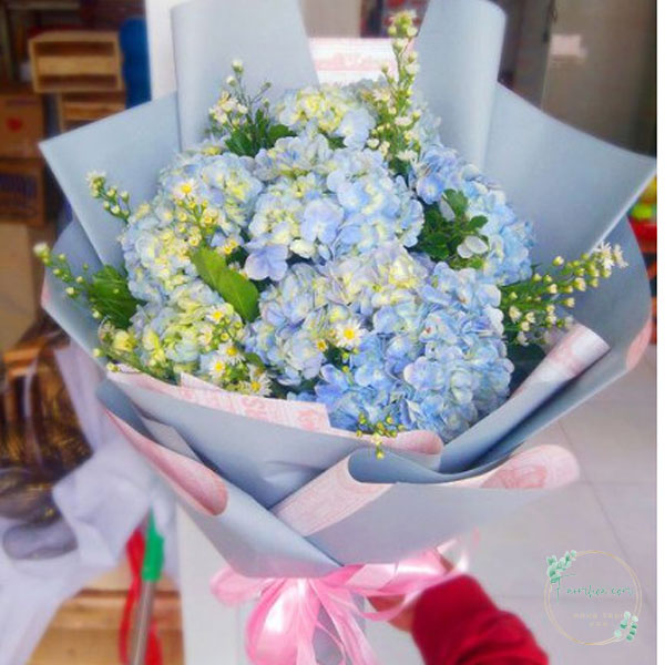 Tú cầu FH15