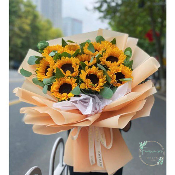 Hoa hướng dương - HDD32