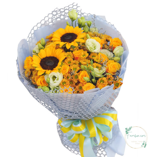 Hoa tốt nghiệp - HTN43