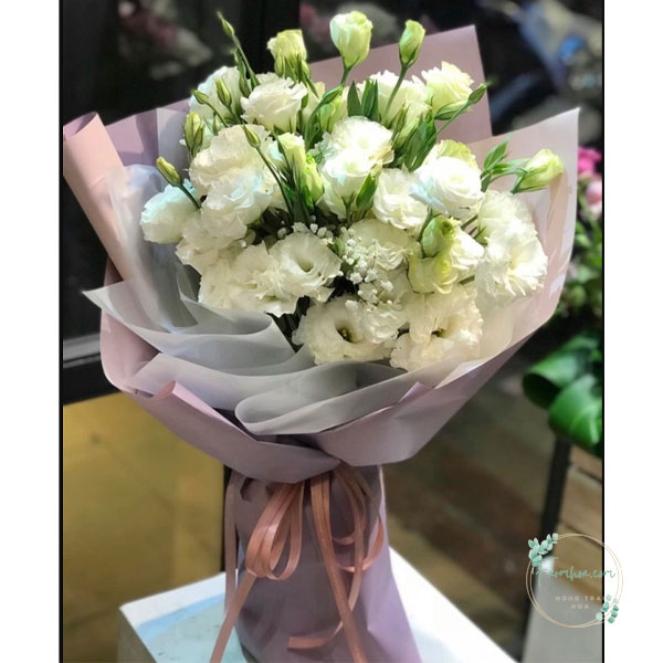 Hoa cát tường - HCT01