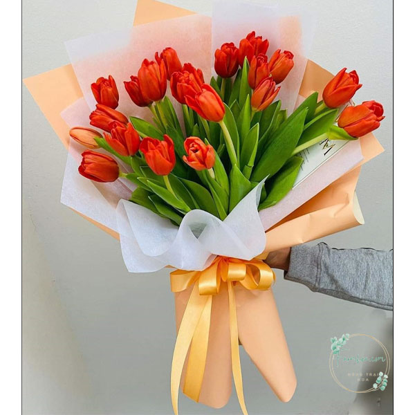 Hoa Tulip – TL102