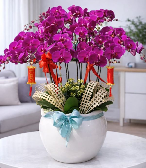 Hoa lan hồ điệp 15 cành – LHD42