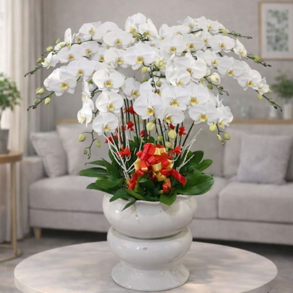 Hoa lan hồ điệp 15 cành – LHD41