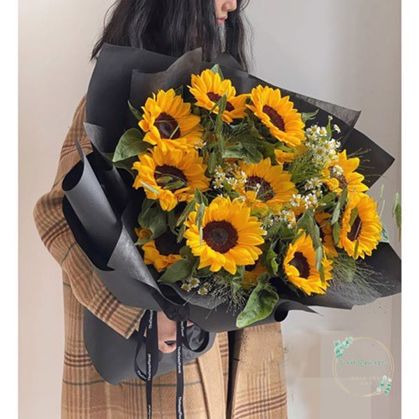 Hoa hướng dương - HDD05