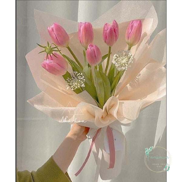 Hoa Tulip – TL101