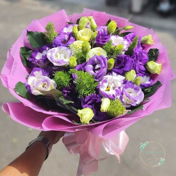 Hoa cát tường – HCT24