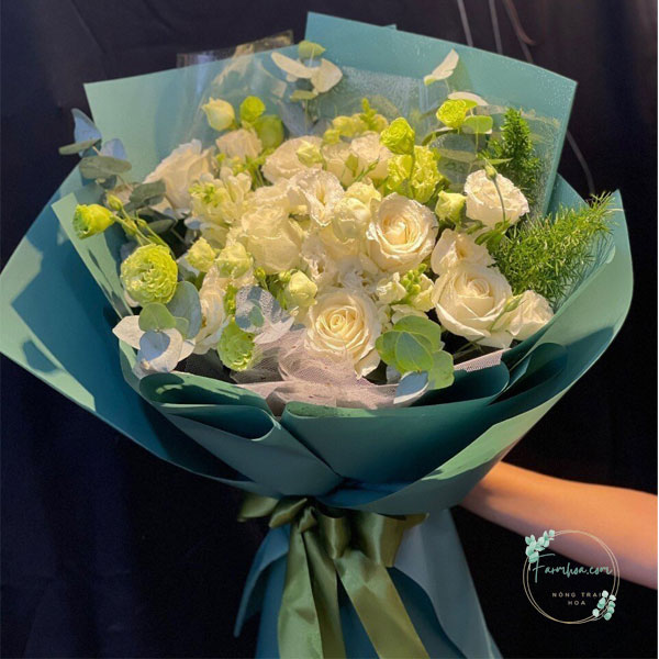 Hoa cát tường – HCT08