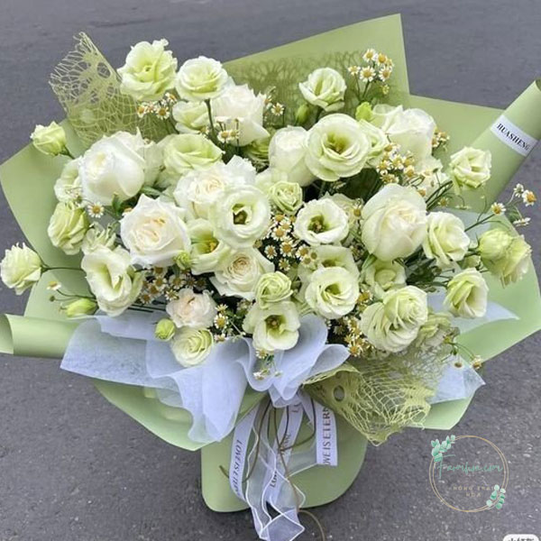Hoa cát tường – HCT28