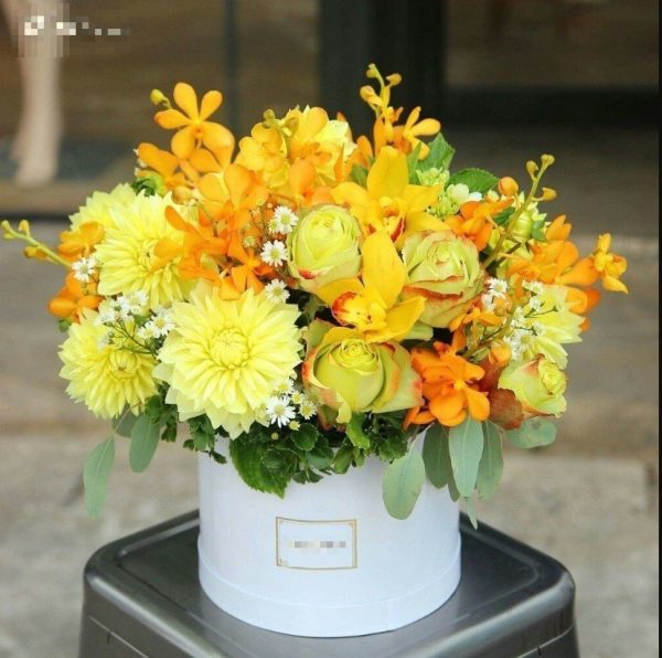Hoa màu vàng – HMV110