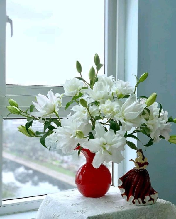 Hoa ly kép - HLK04 (1 bó 5 cành chưa bao gồm bình)