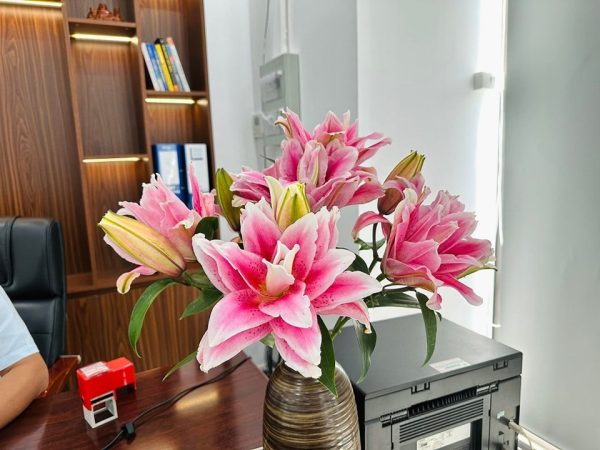Hoa ly kép - HLK31 (1 bó 5 cành chưa bao gồm bình)