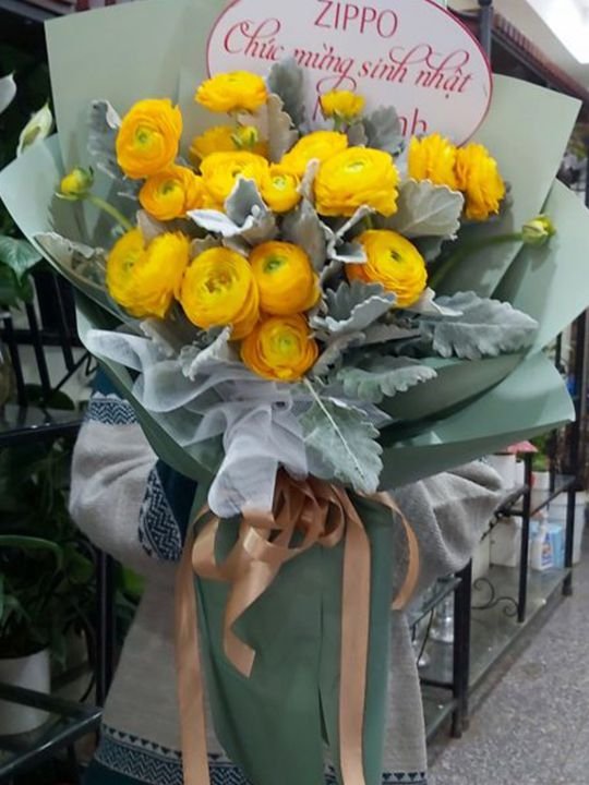 Hoa mao lương - HML42