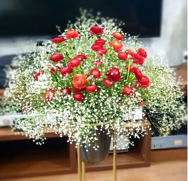 Hoa mao lương - HML13