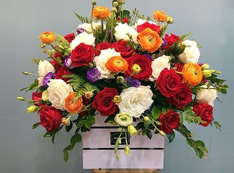 Hoa mao lương - HML35
