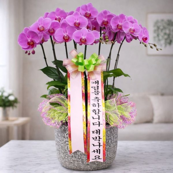 Chậu hồ điệp 6 cành - LHD83
