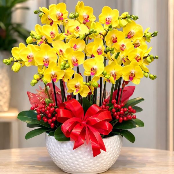 Chậu hồ điệp 15 cành - LHD75