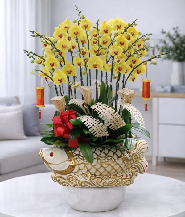 Chậu hồ điệp con cá vàng - LHD59