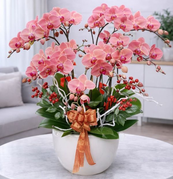 Chậu hồ điệp 12 cành - LHD92