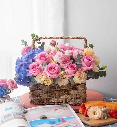 Sắc Hoa Hy Vọng